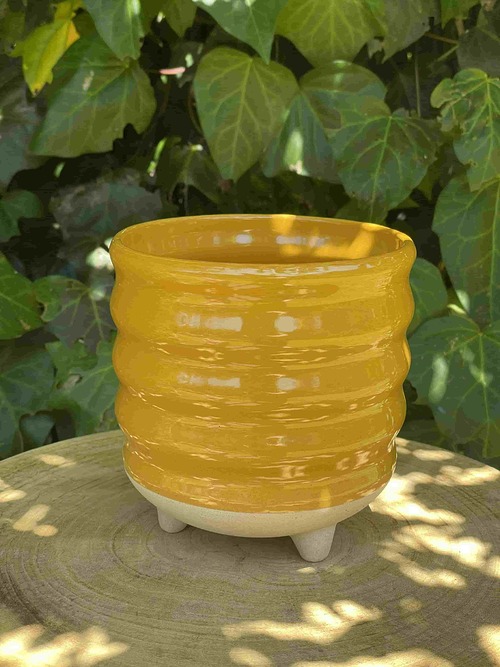 yellow bumpy plant pot