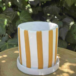 striped pot with saucer