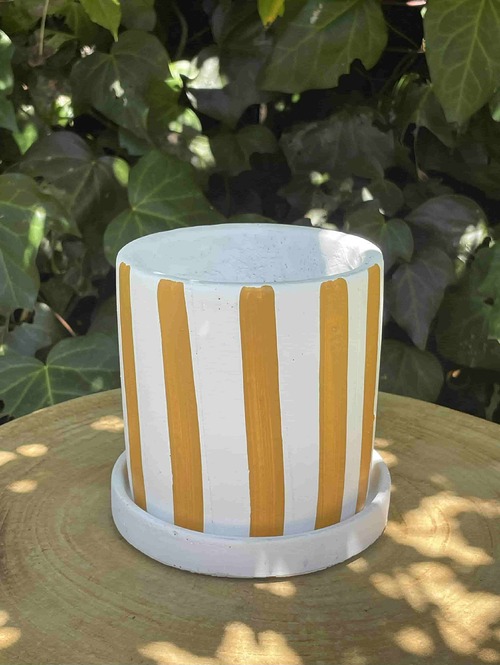 striped pot with saucer