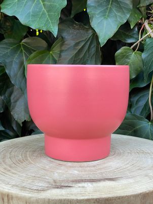 lively pot, pink